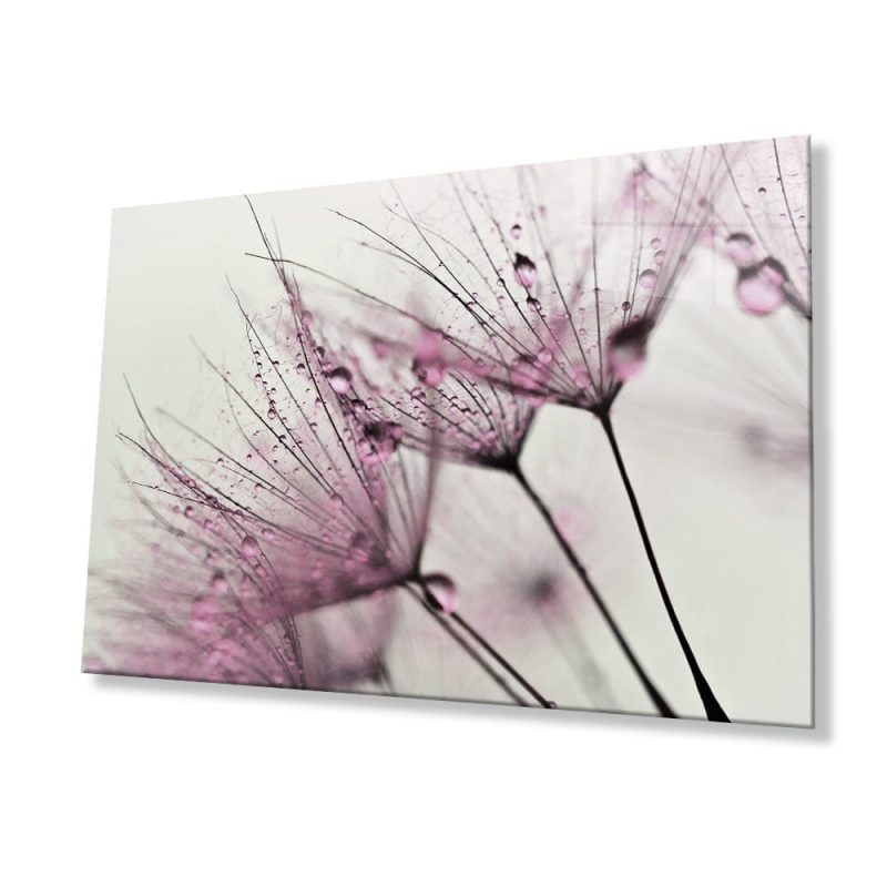 Pembe Karahindiba Cam Tablo