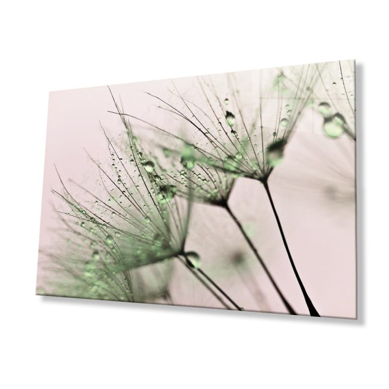 Yeşil Karahindiba Cam Tablo