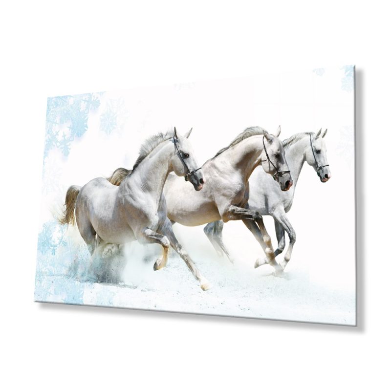Beyaz Atlar Hayvanlar Cam Tablo, Ev ve Ofis Duvar Dekoru, Hediyelik Büyük Temperli 4 mm Cam Tablo