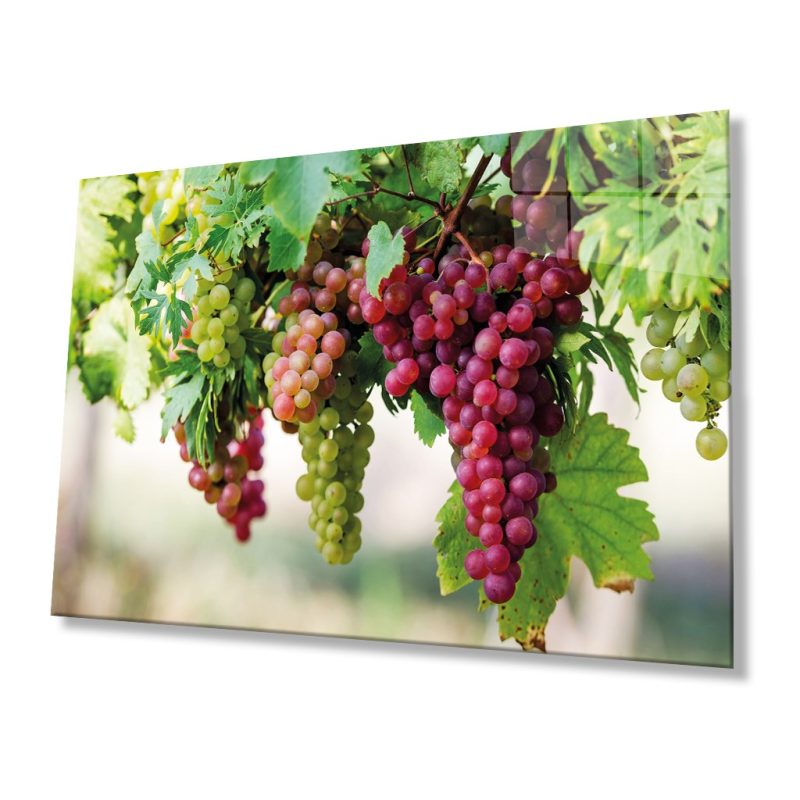 Meyveler Cam Tablo 4mm Dayanıklı Temperli Cam