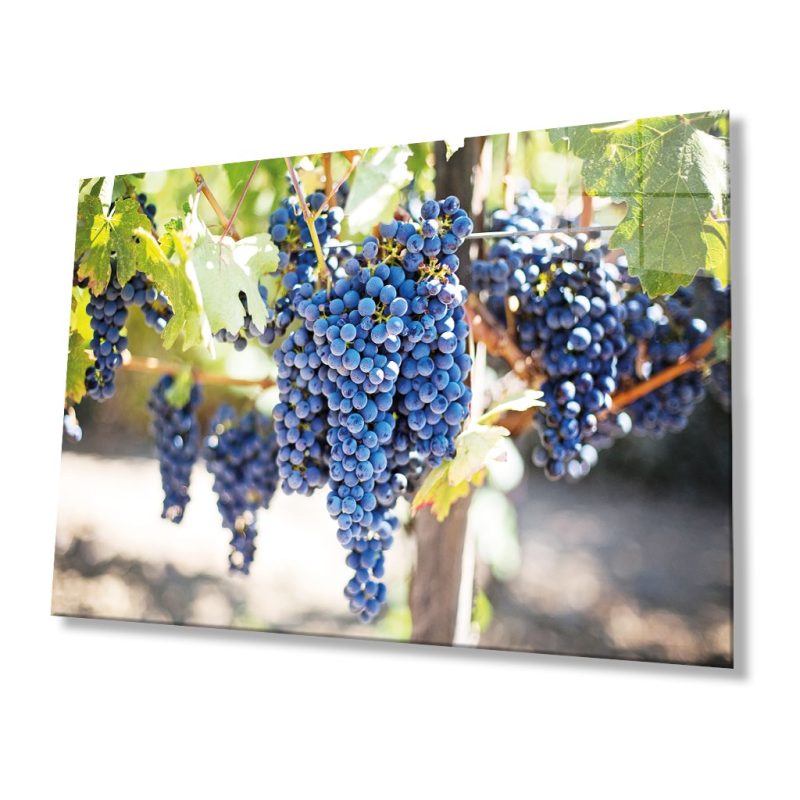 Meyveler üzümler Cam Tablo 4mm Dayanıklı Temperli Cam