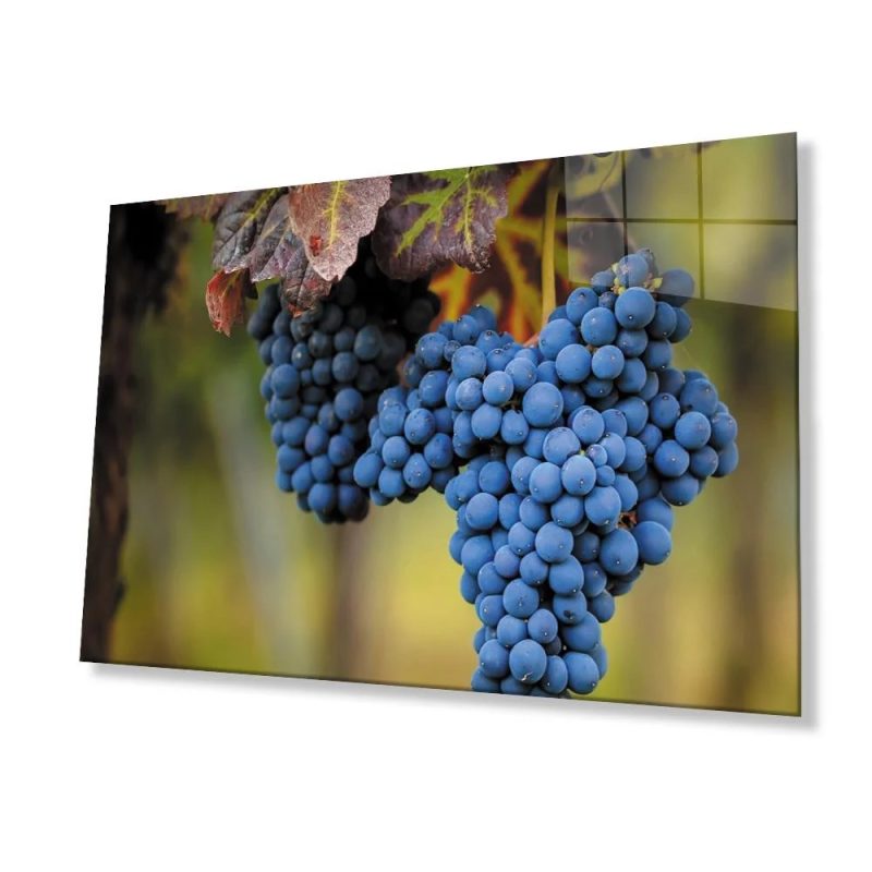 Üzüm Mutfak Natürmort Cam Tablo 4mm Dayanıklı Temperli Cam Grape Kitchen Still Life Glass Wall Art