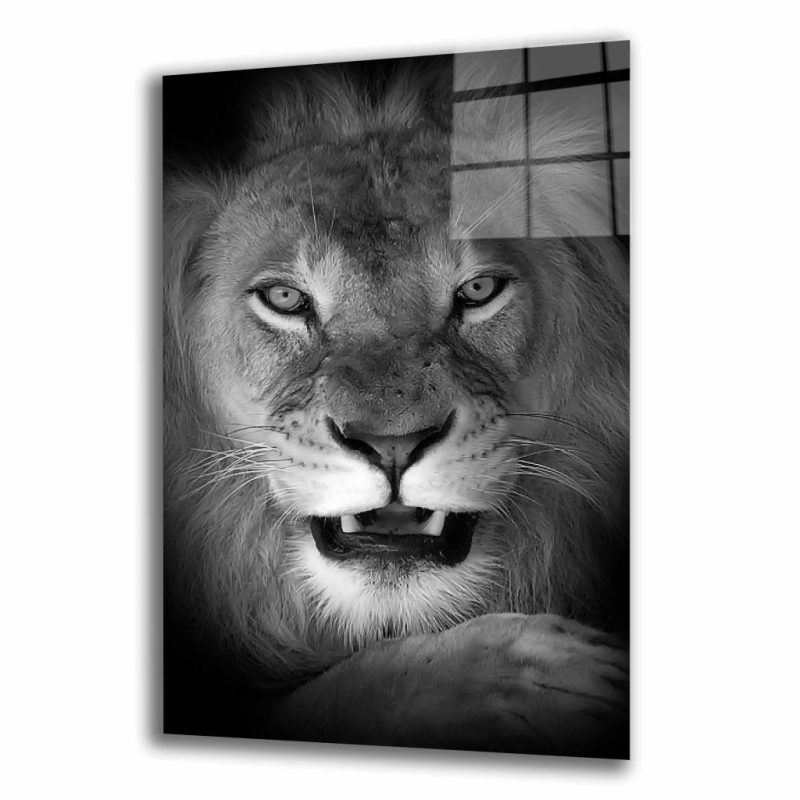 Aslan Hayvan Cam Tablo