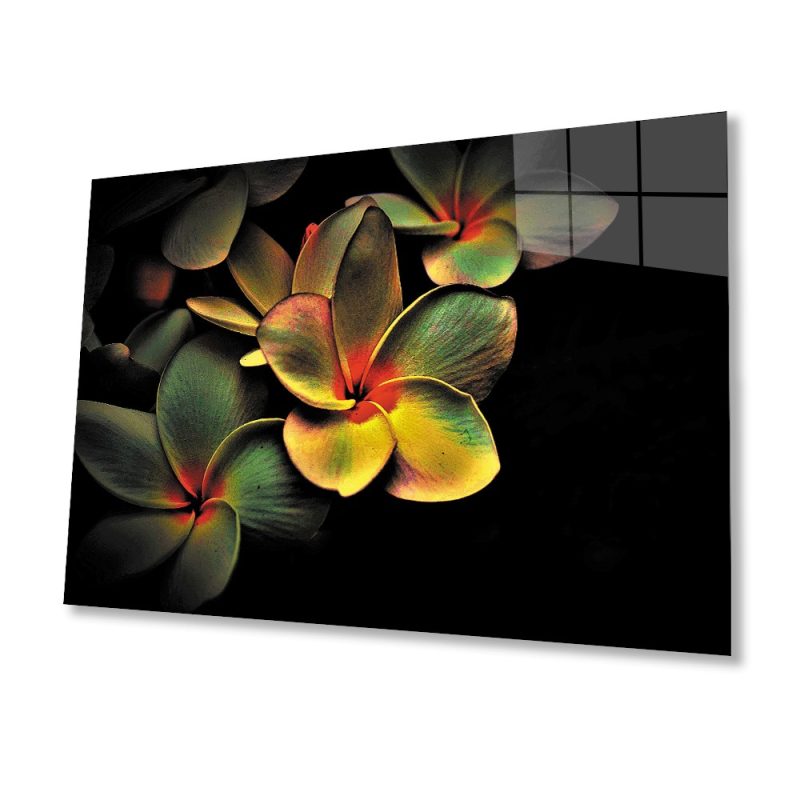 Renkli Çicek Cam Tablo