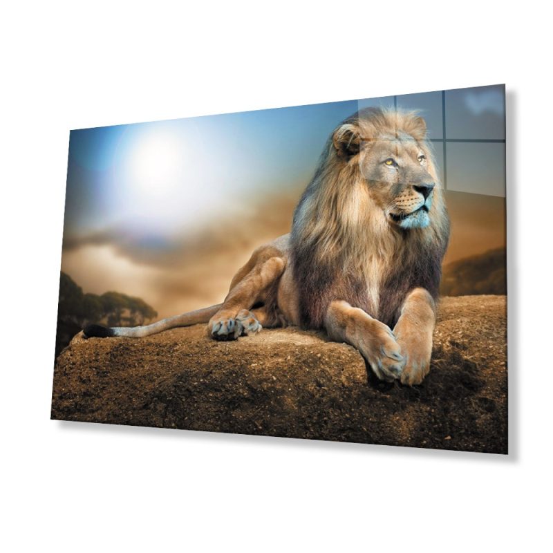 Bayçağrı Cam Tablo Çeşitleri Yatan Aslan