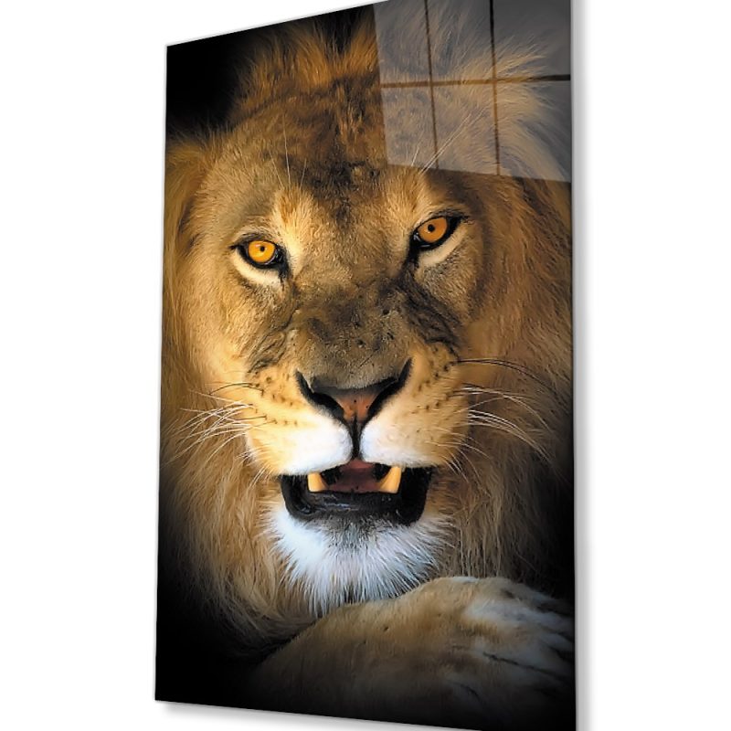 Aslan 15 Hayvan Cam Tablo