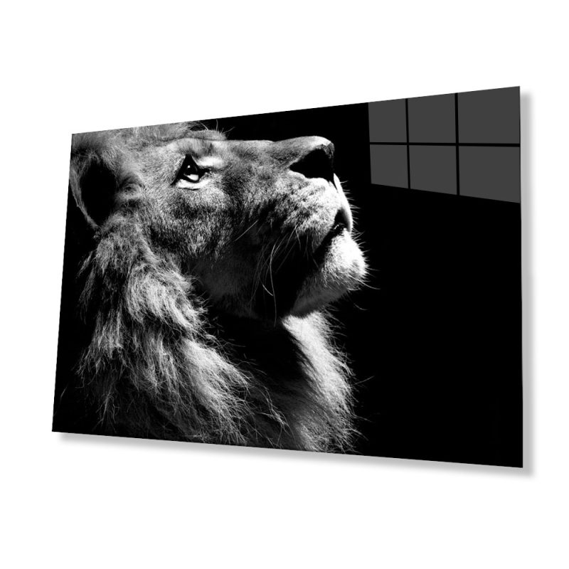 Aslan Hayvan Cam Tablo 4mm Dayanıklı Temperli Cam