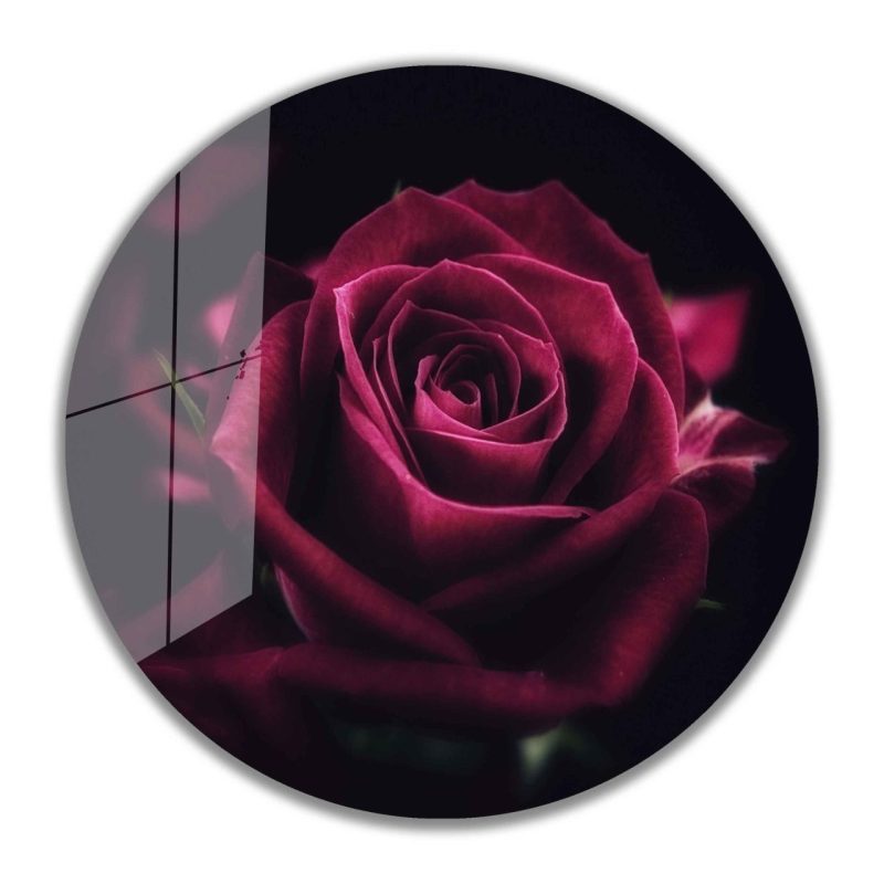 Kırmızı Gül Yuvarlak Cam Tablo 4mm Dayanıklı Temperli Cam