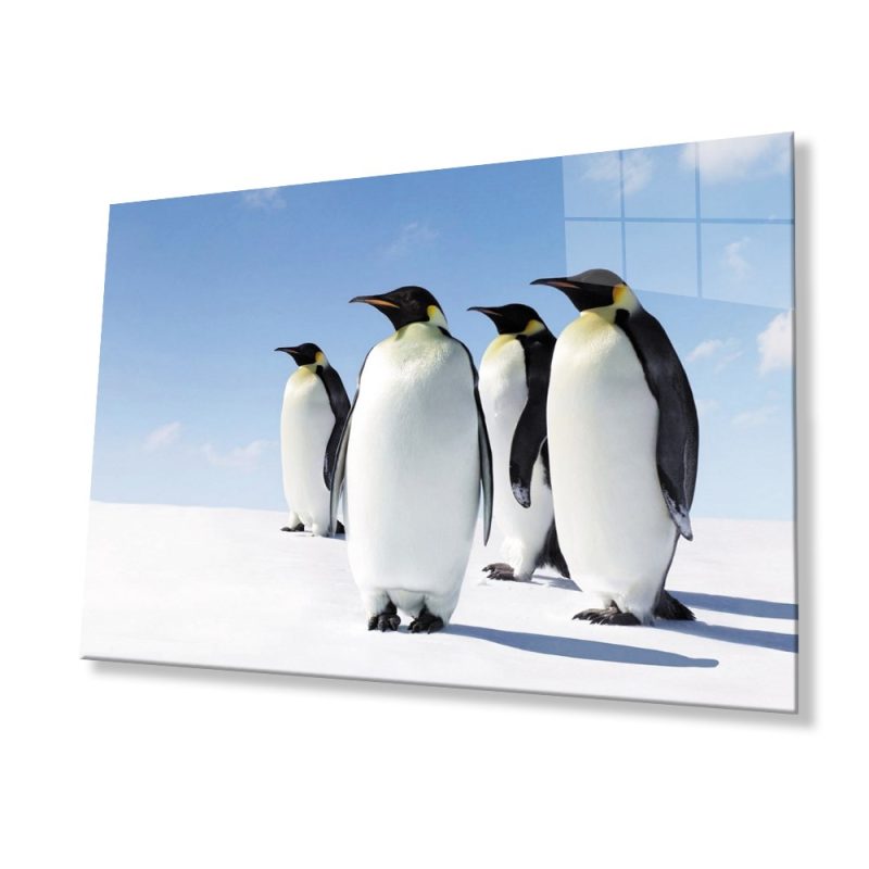 Penguen Hayvan Cam Tablo 4mm Dayanıklı Temperli Cam