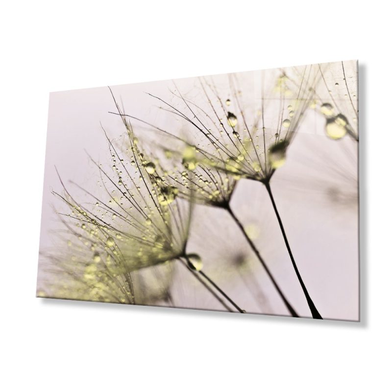 Sarı Karahindiba Cam Tablo