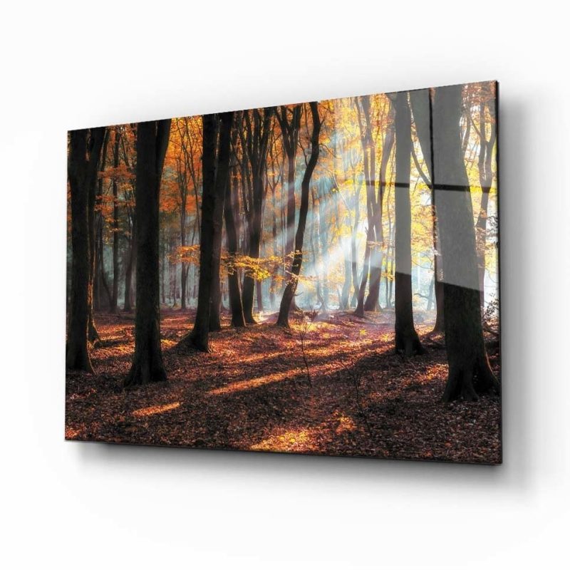 Doğa Manzara Cam Tablo 4mm Dayanıklı Temperli Cam