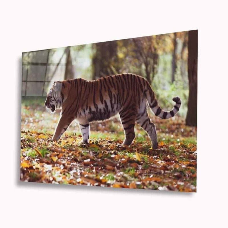 Kaplan Cam Tablo 4mm Dayanıklı Temperli Cam