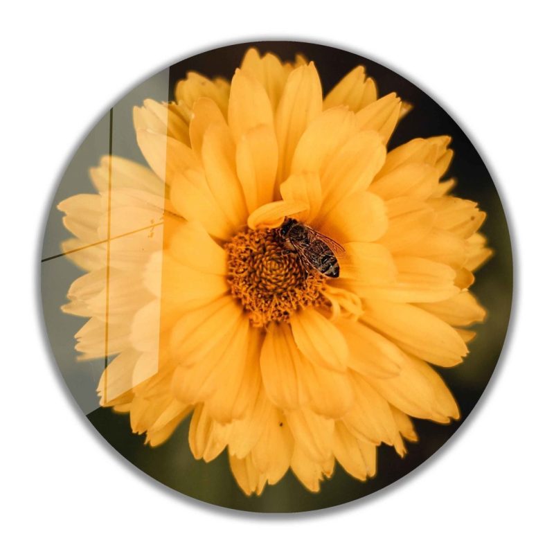 Çiçek Yuvarlak Cam Tablo 4mm Dayanıklı Temperli Cam