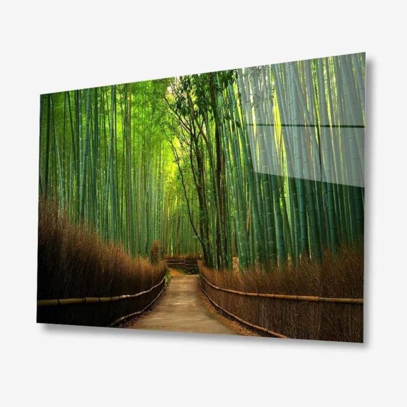 Doğa Cam Tablo 4mm Dayanıklı Temperli Cam