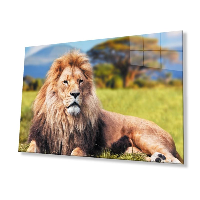 Aslan Hayvan Cam Tablo 4mm Dayanıklı Temperli Cam
