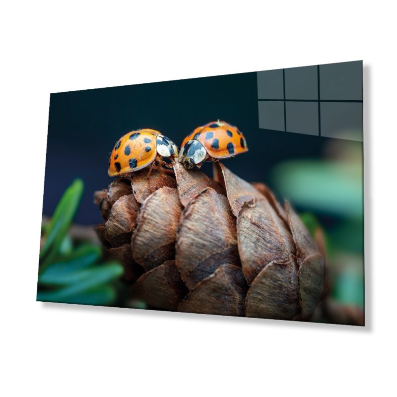 Uğur Böceği ve Yaprak Cam Tablo, Ev ve Ofis Duvar Dekoru, Hediyelik Büyük Temperli 4 mm Cam Tablo