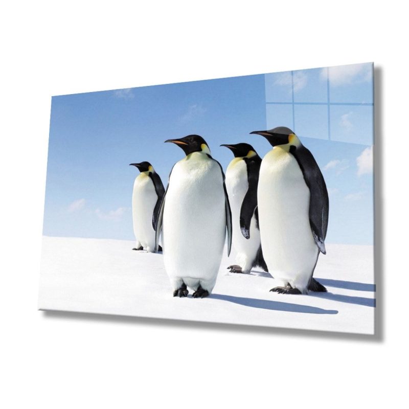Penguen Hayvan Cam Tablo 4mm Dayanıklı Temperli Cam