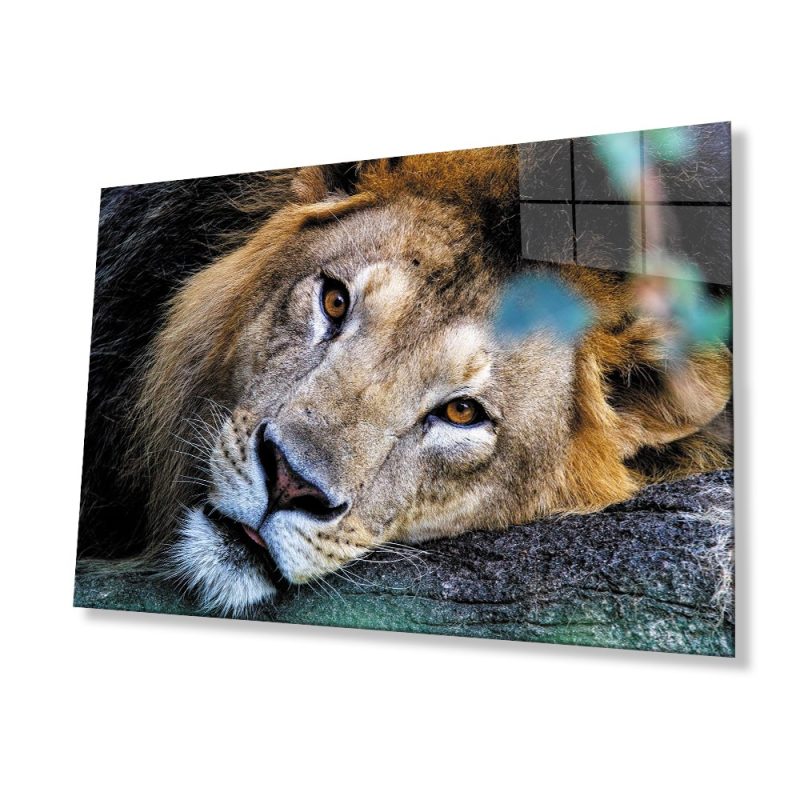 Aslan Hayvan Cam Tablo 4mm Dayanıklı Temperli Cam