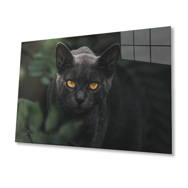 Siyah Kedi Cam Tablo