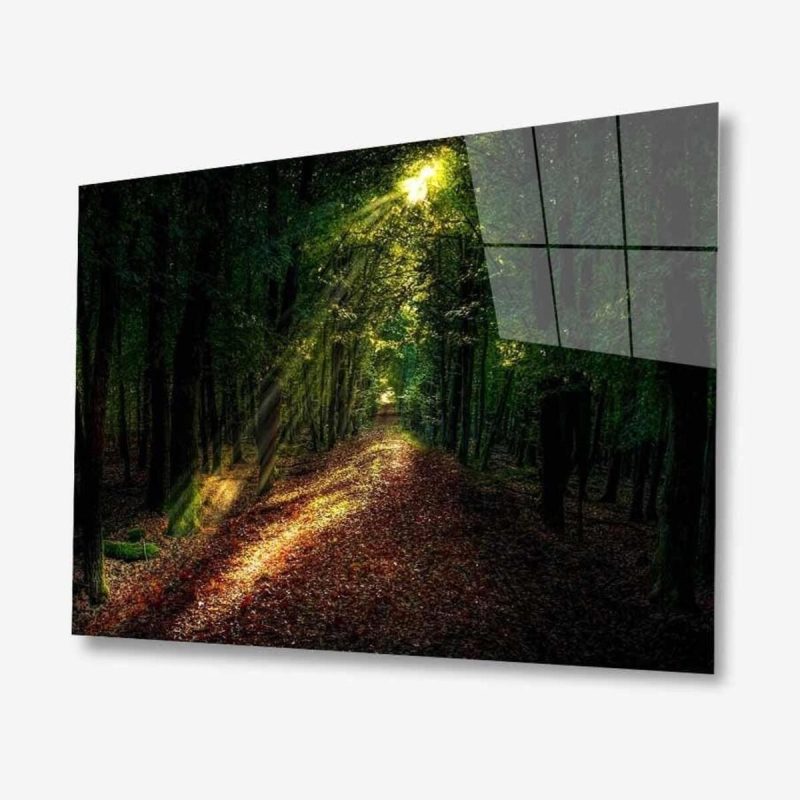 Doğa Cam Tablo 4mm Dayanıklı Temperli Cam