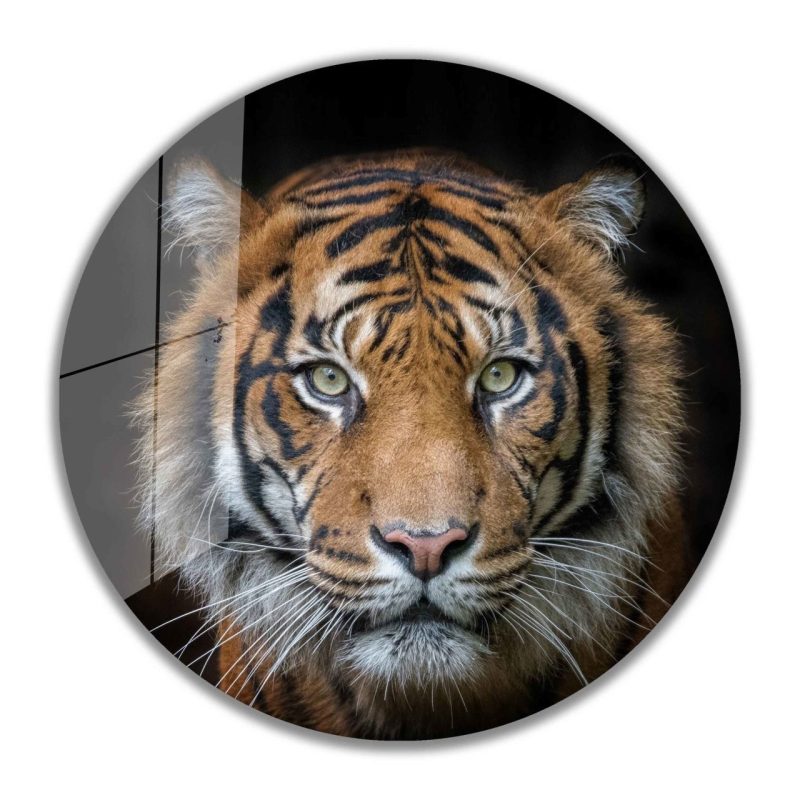 Kaplan Yuvarlak Cam Tablo 4mm Dayanıklı Temperli Cam