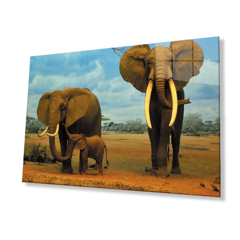 Filler Hayvan Cam Tablo 4mm Dayanıklı Temperli Cam