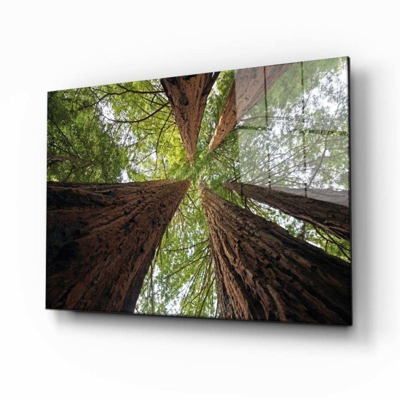 Doğa Manzara Cam Tablo 4mm Dayanıklı Temperli Cam