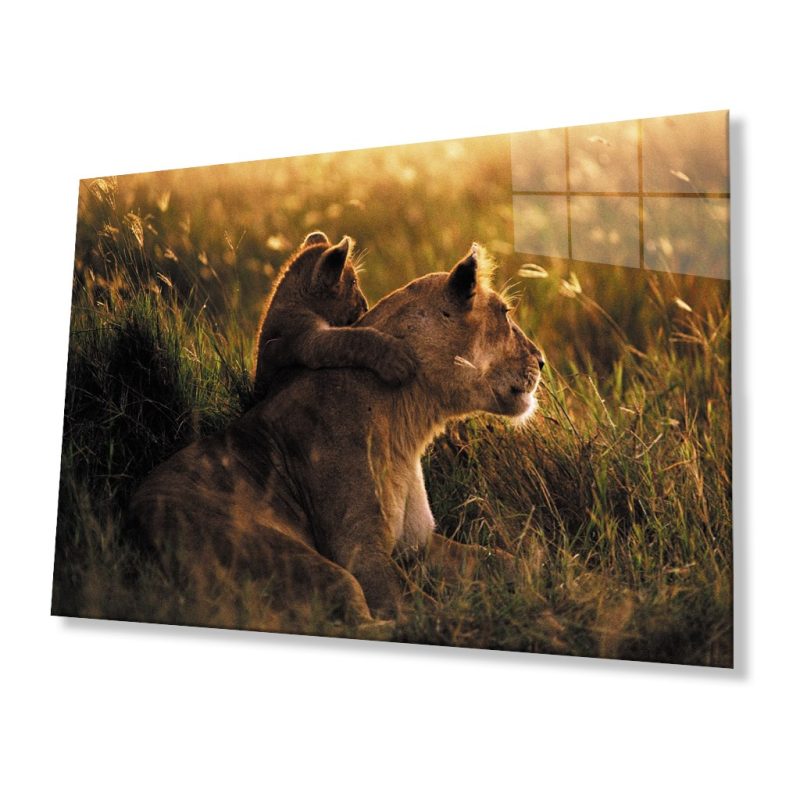 Aslan Hayvan Cam Tablo 4mm Dayanıklı Temperli Cam