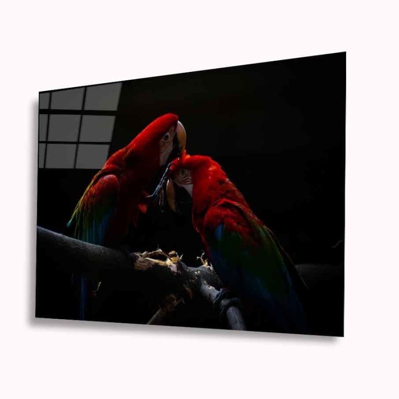 Papağan Cam Tablo 4mm Dayanıklı Temperli Cam