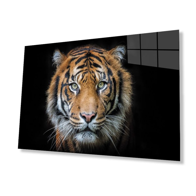 Kaplan 5 Hayvan Cam Tablo