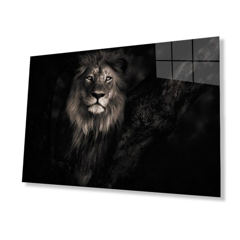 Aslan Cam Tablo 4mm Dayanıklı Temperli Cam