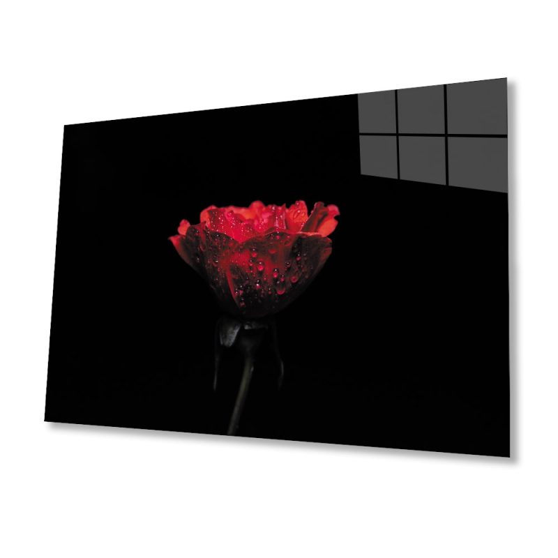 Damalı Gül Cam Tablo