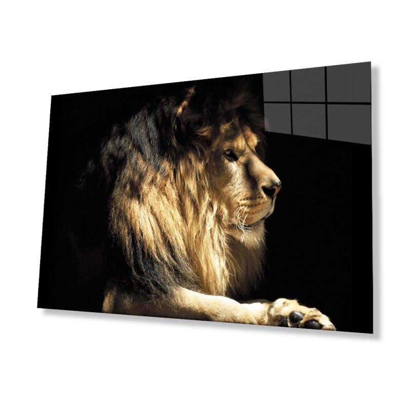 Aslan Hayvan Cam Tablo 4mm Dayanıklı Temperli Cam