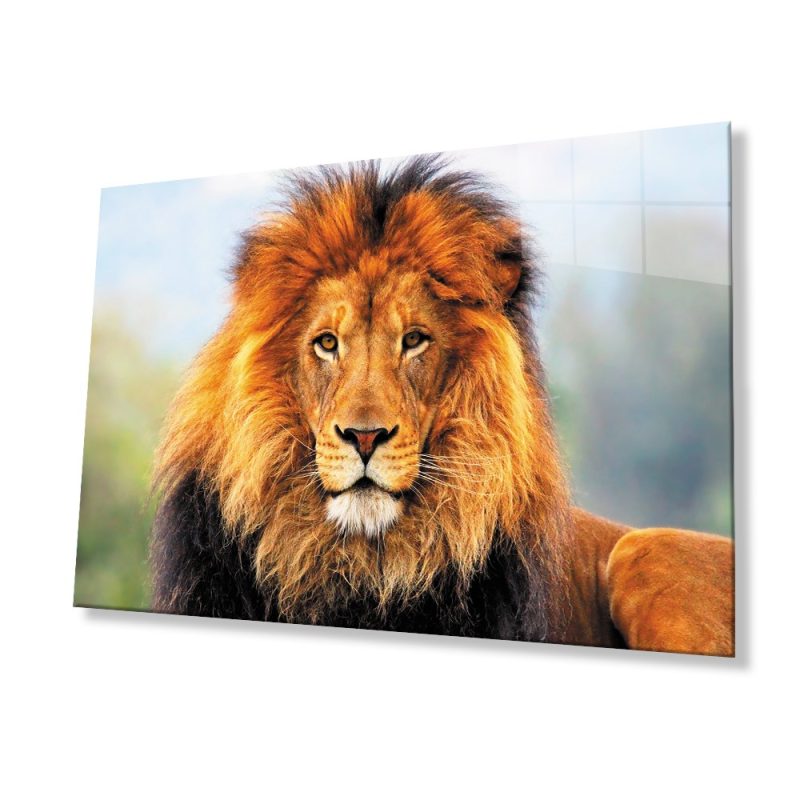 Aslan Hayvan Cam Tablo 4mm Dayanıklı Temperli Cam