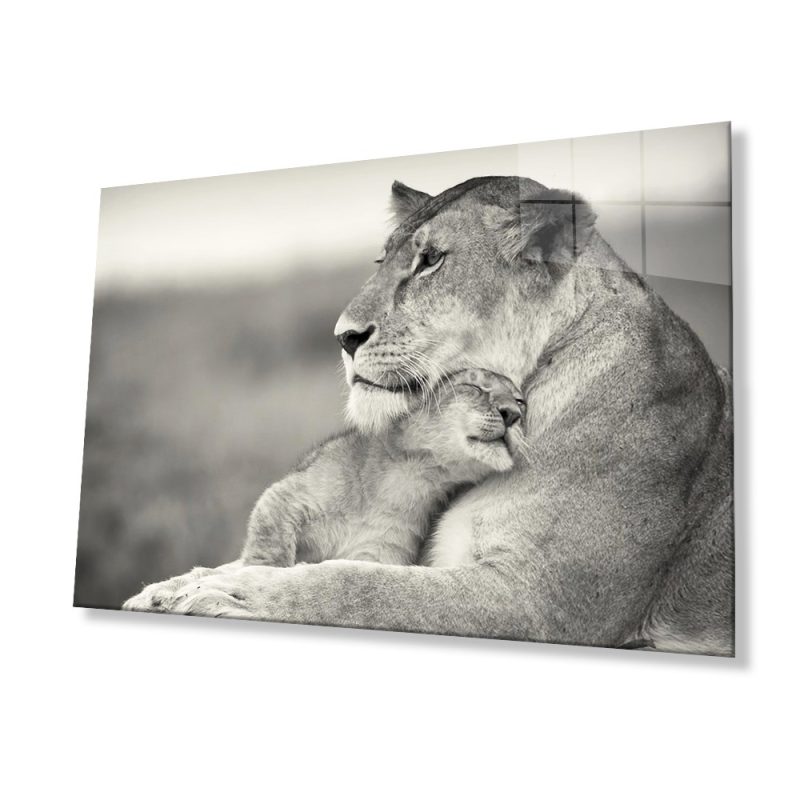 Aslan Hayvan Cam Tablo 4mm Dayanıklı Temperli Cam