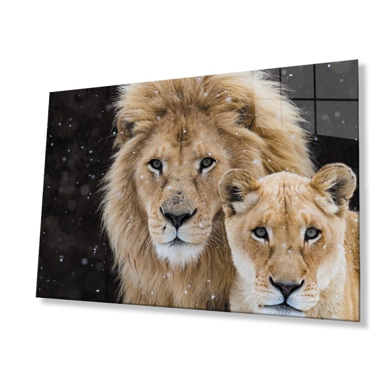 Aslan Hayvan Cam Tablo 4mm Dayanıklı Temperli Cam