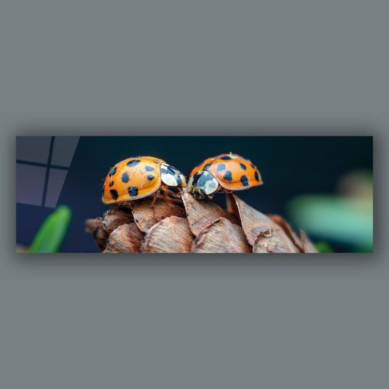 Uğurböcekleri Panoramik Cam Tablo Hediyelik Büyük Tablo Ev Ofis Dekoru