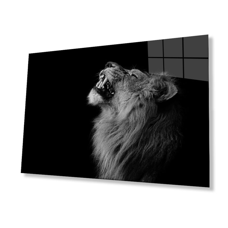 Aslan Hayvan Cam Tablo 4mm Dayanıklı Temperli Cam