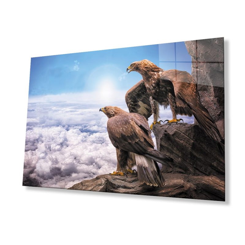 Kartal Hayvan Cam Tablo 4mm Dayanıklı Temperli Cam