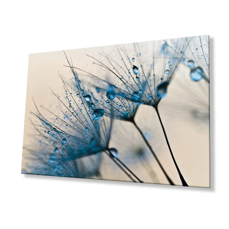 Mavi Karahindiba Cam Tablo