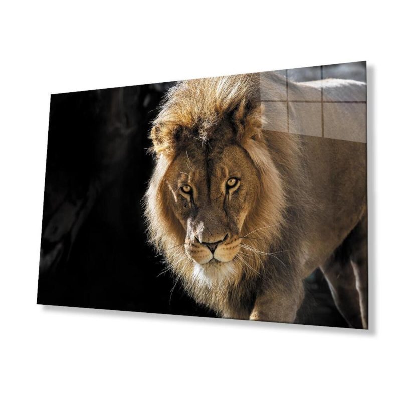 Aslan Cam Tablo 4mm Dayanıklı Temperli Cam
