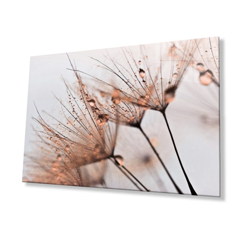 Kahverengi Karahindiba Cam Tablo