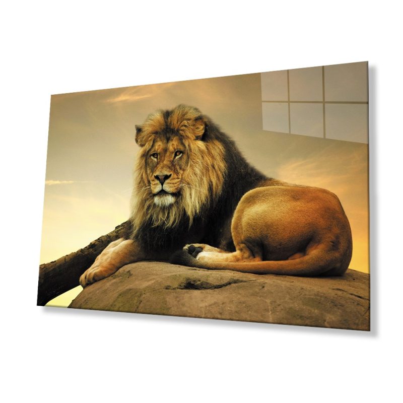 Aslan Hayvan Cam Tablo 4mm Dayanıklı Temperli Cam