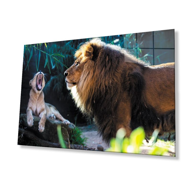 Aslan Hayvan Cam Tablo 4mm Dayanıklı Temperli Cam