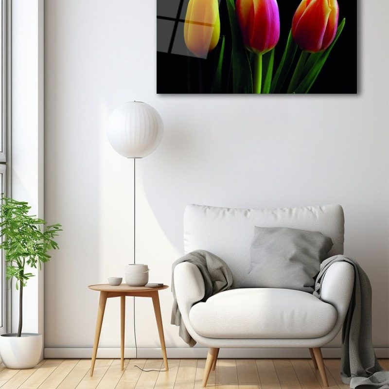 Dekoratif Duvar Tablosu Temperli Cam Tablo 36x23 cm