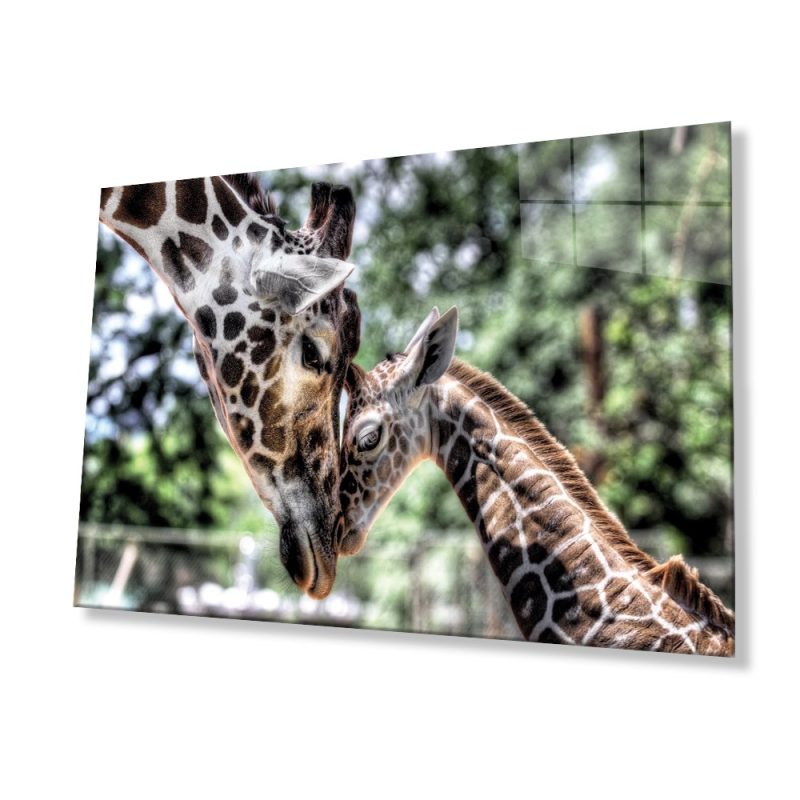 Zürefa Hayvan Cam Tablo 4mm Dayanıklı Temperli Cam