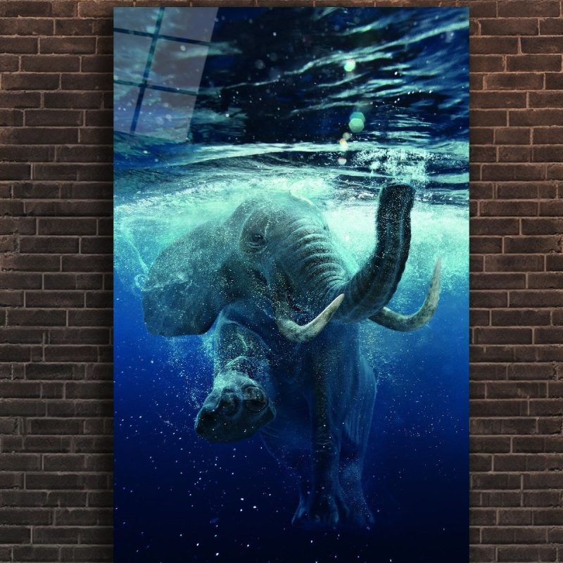 Dekoratif Duvar Tablosu Temperli Cam Tablo d.kaplumbağa