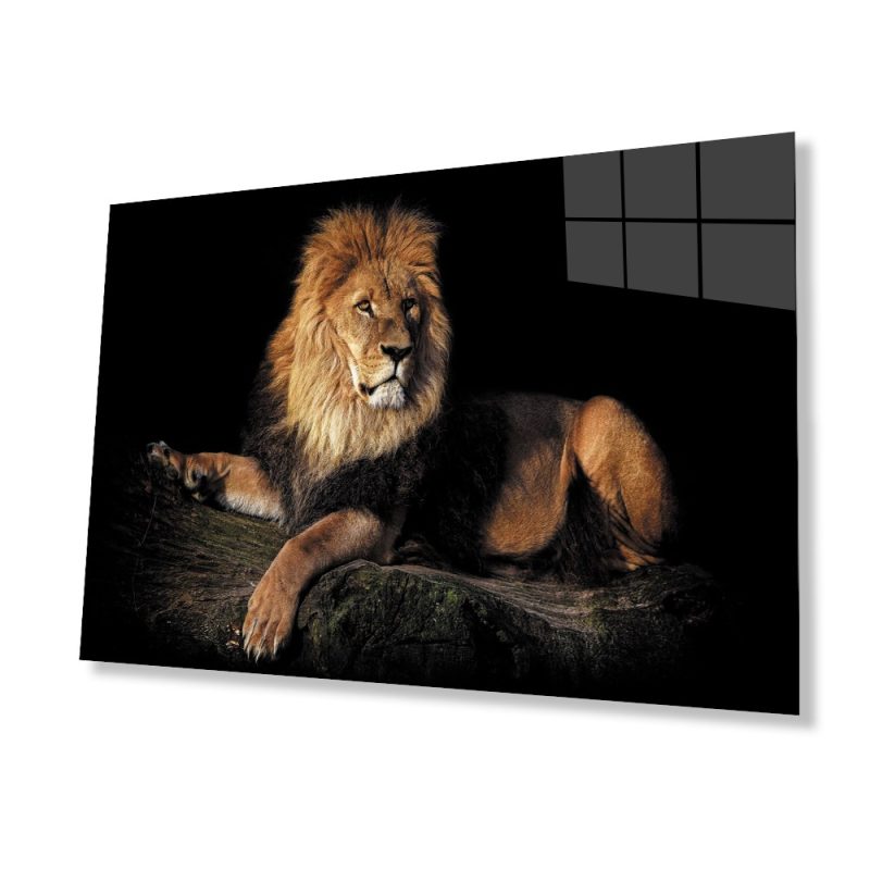 Aslan Hayvan Cam Tablo 4mm Dayanıklı Temperli Cam