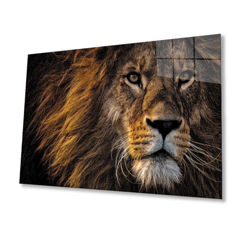 Aslan Cam Tablo