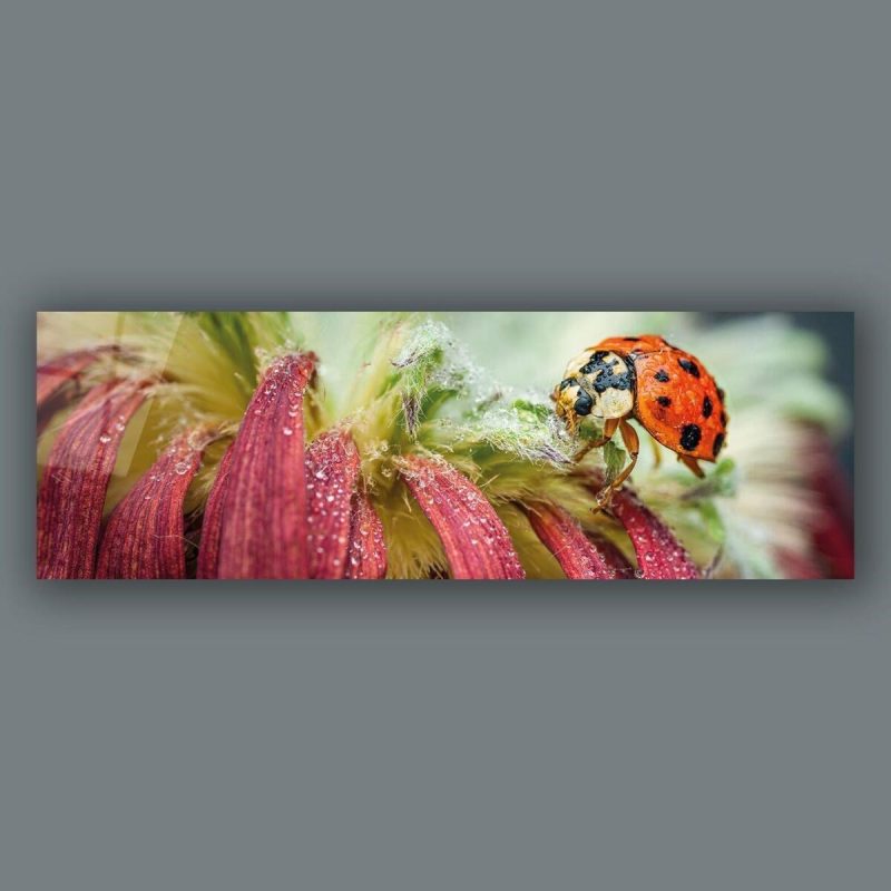 Çiçek ve Uğurböceği Panoramik Cam Tablo Hediyelik Büyük Tablo Ev Ofis Dekoru